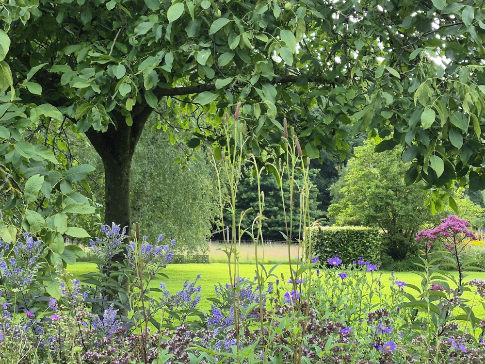 caroline dekker 20250803 183518