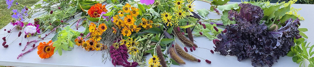 caroline dekker 20250820 195547-1