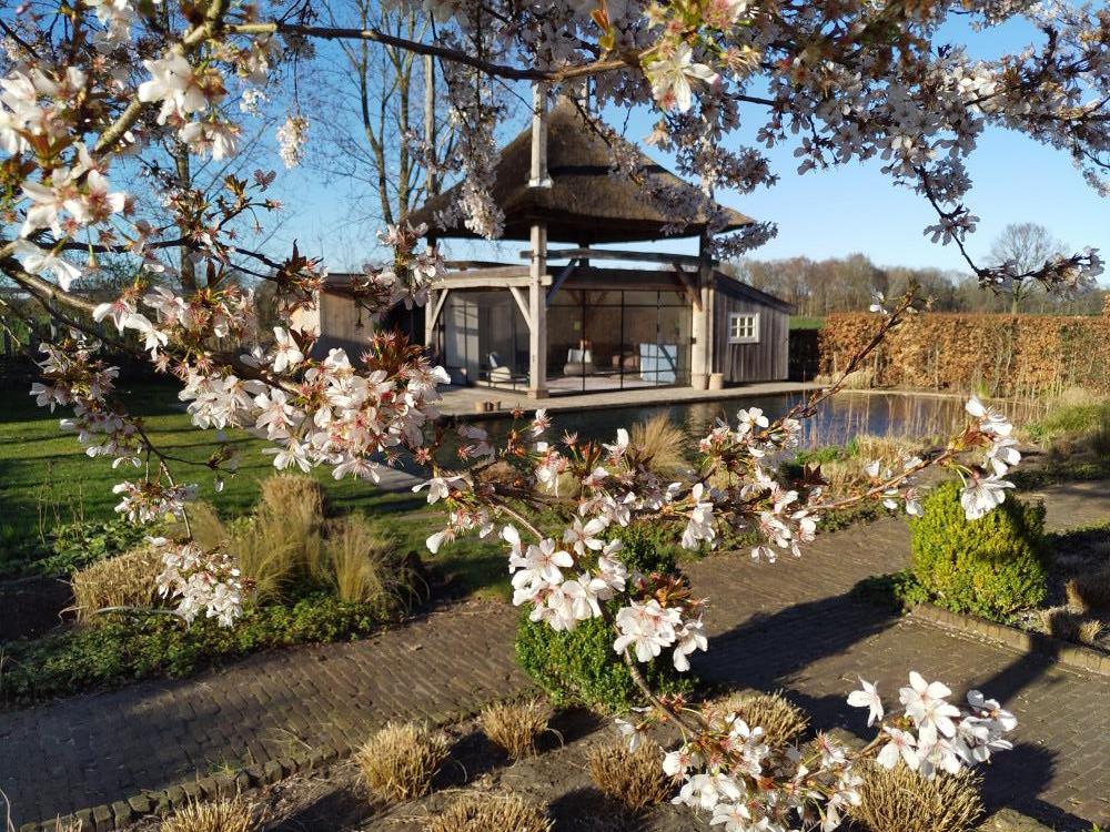 caroline dekker IMG 20200322 170021 1 x18