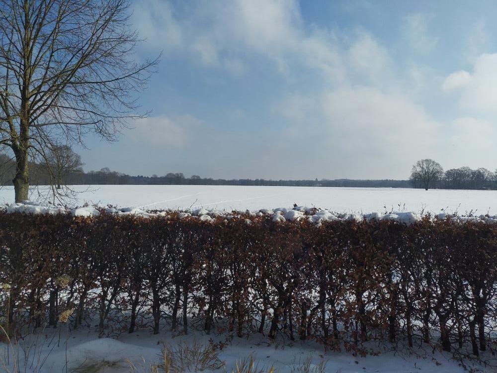 caroline dekker kerst-2021-IMG 20210212 110055 x18