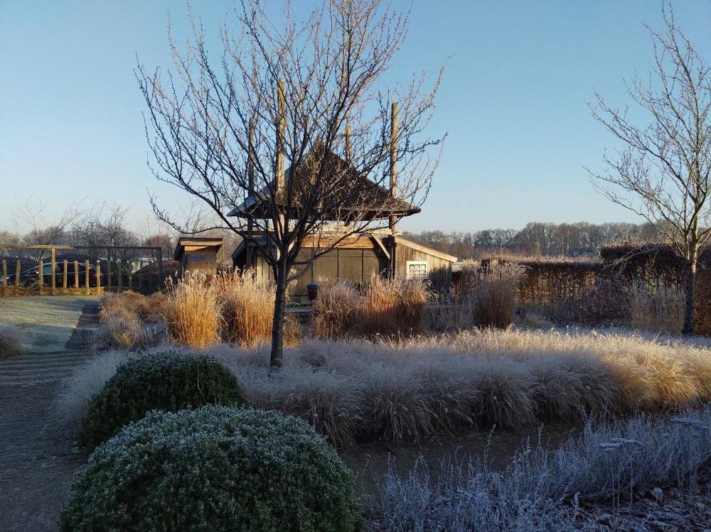 caroline dekker steltenberg x18